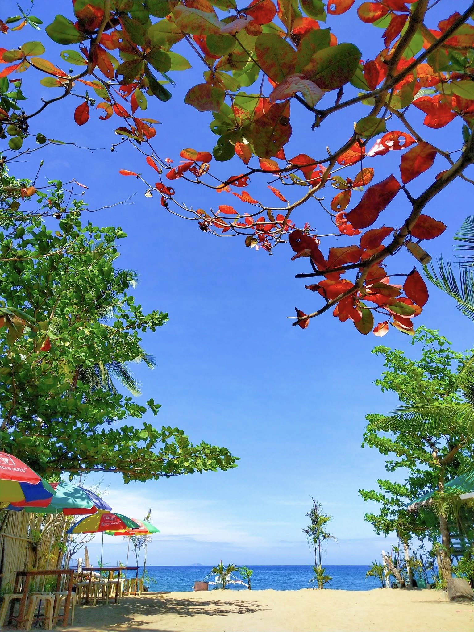 The Mac Beach view at midday