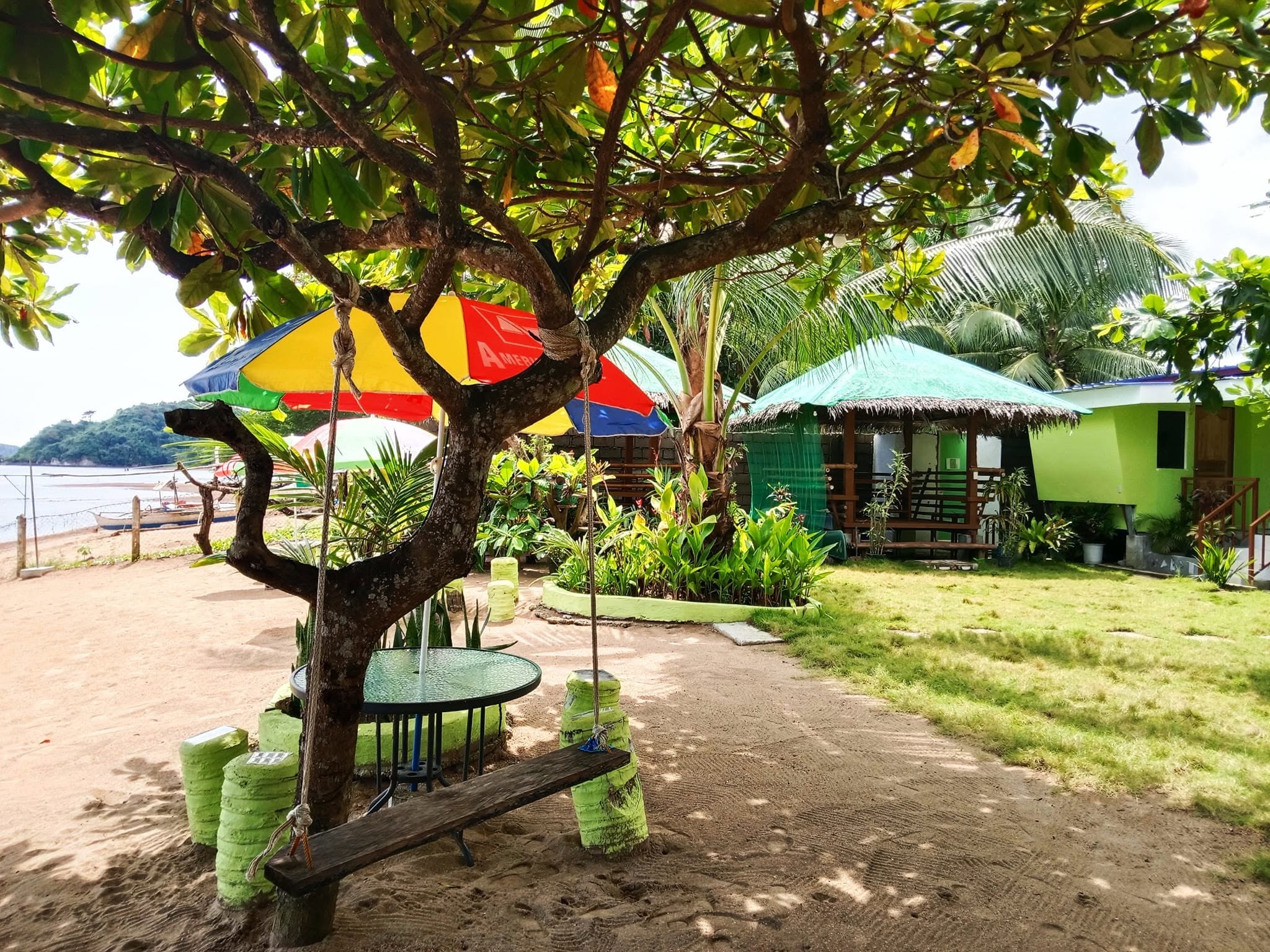 The swing under the tree