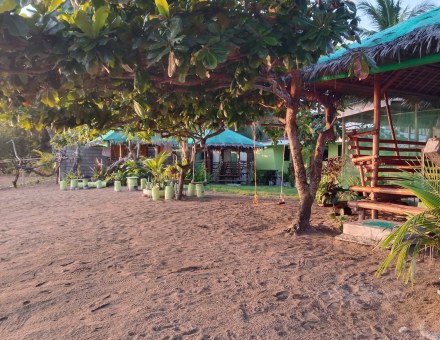 Quiet beach moment with red leaves