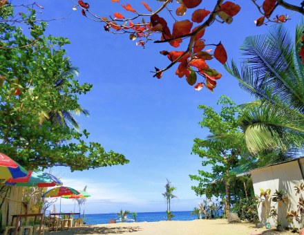 Top 5 Things to Do Around Coron & Calamian
