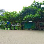Beachfront Cabana